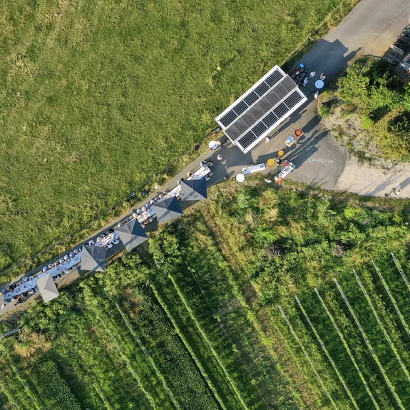 MDN
